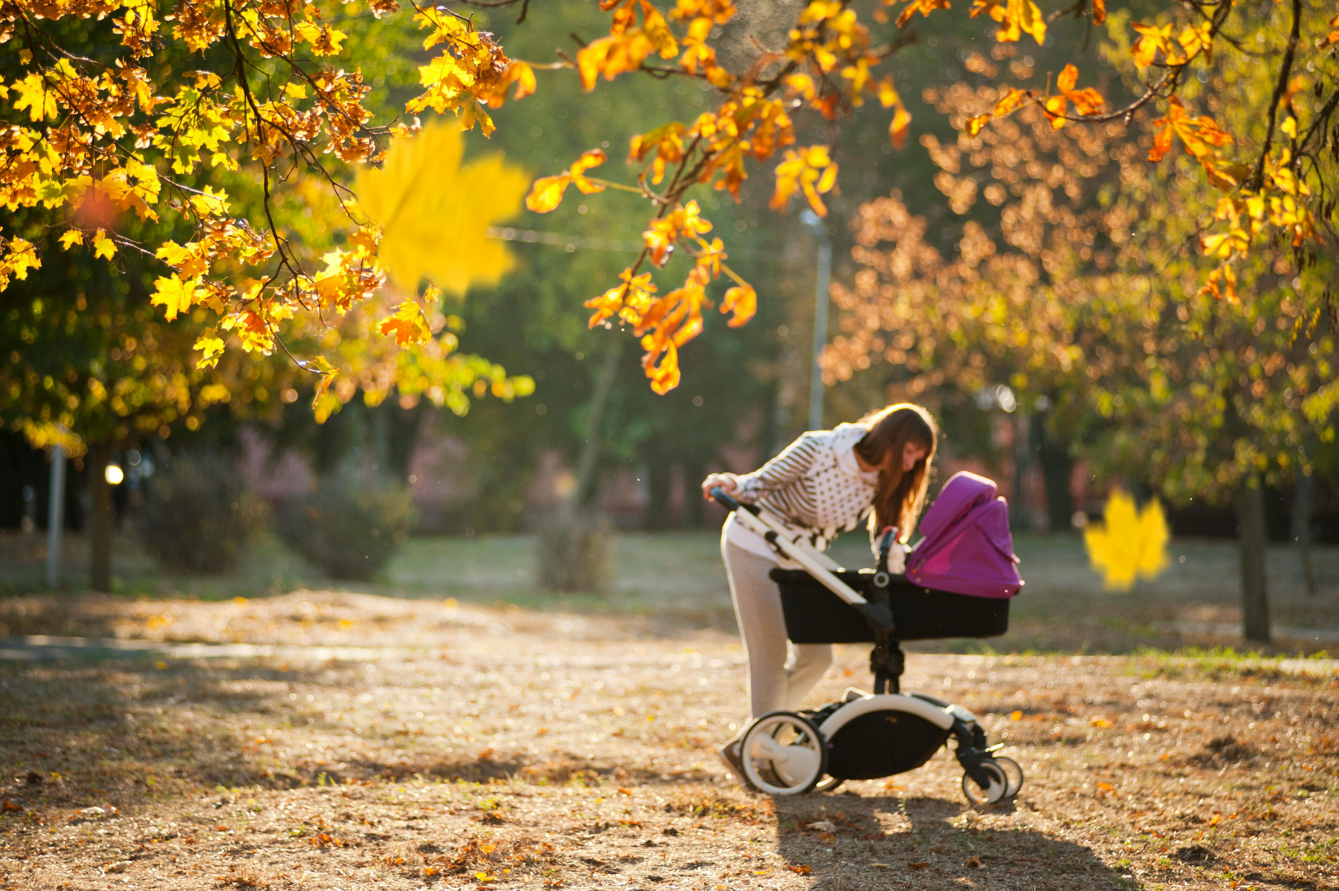Ultimate Guide: Find Stroller-Friendly Locations Near Me (2025)